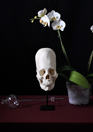 Raúl García Sangrador: Bodegón de pensamientos