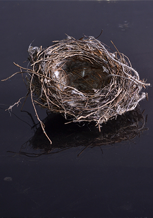 Raúl García Sangrador: Casa que se hunde