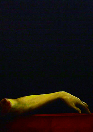 Brazo (Reliquia). 90cm x 70cm. Óleo/lino.